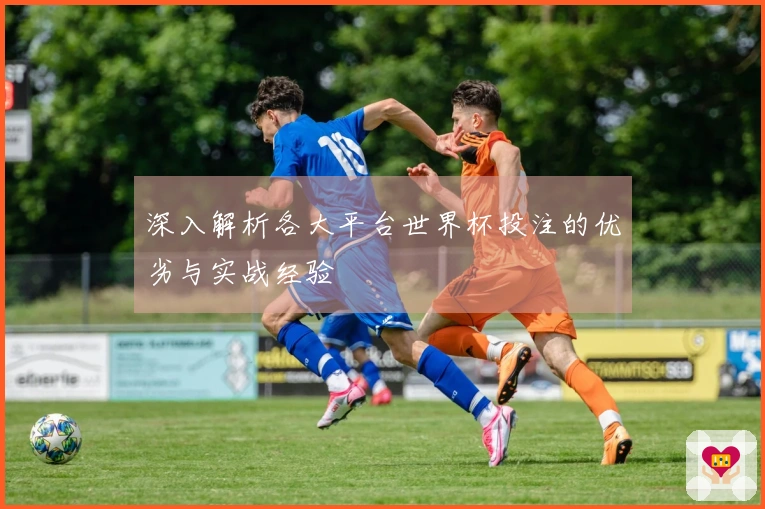 深入解析各大平台世界杯投注的优劣与实战经验