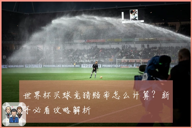 世界杯买球竞猜赔率怎么计算？新手必看攻略解析