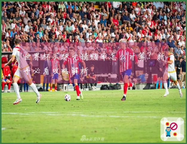 世界杯买球竞猜赔率怎么计算？新手必看攻略解析