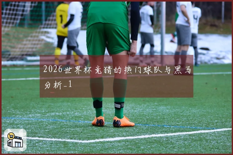 2026世界杯竞猜的热门球队与黑马分析_1