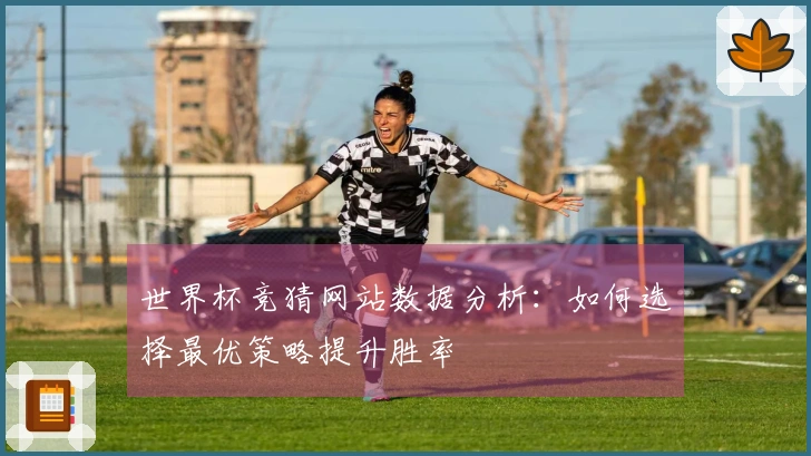 世界杯竞猜网站数据分析：如何选择最优策略提升胜率