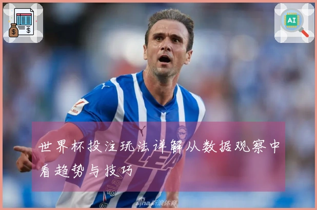 世界杯投注玩法详解从数据观察中看趋势与技巧