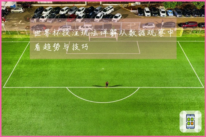 世界杯投注玩法详解从数据观察中看趋势与技巧