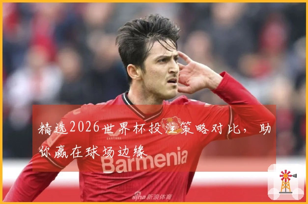 精选2026世界杯投注策略对比，助你赢在球场边缘