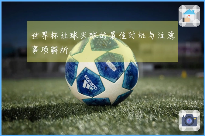 世界杯让球买球的最佳时机与注意事项解析