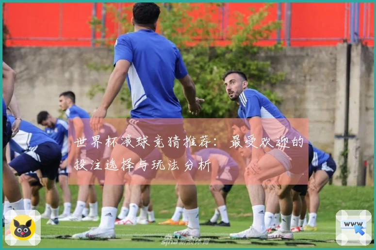 世界杯滚球竞猜推荐：最受欢迎的投注选择与玩法分析