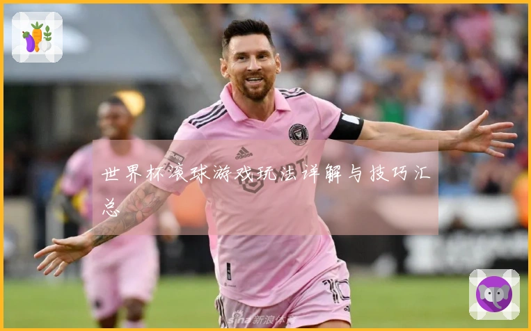 世界杯滚球游戏玩法详解与技巧汇总